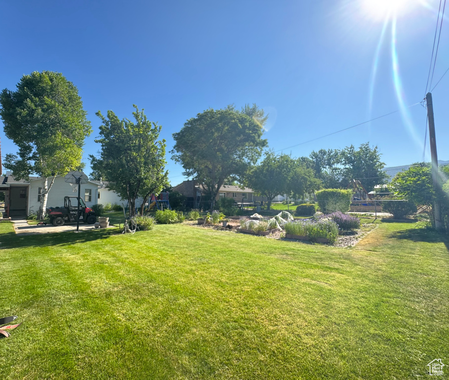 View of grassy yard
