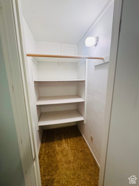 Walk in closet with carpet