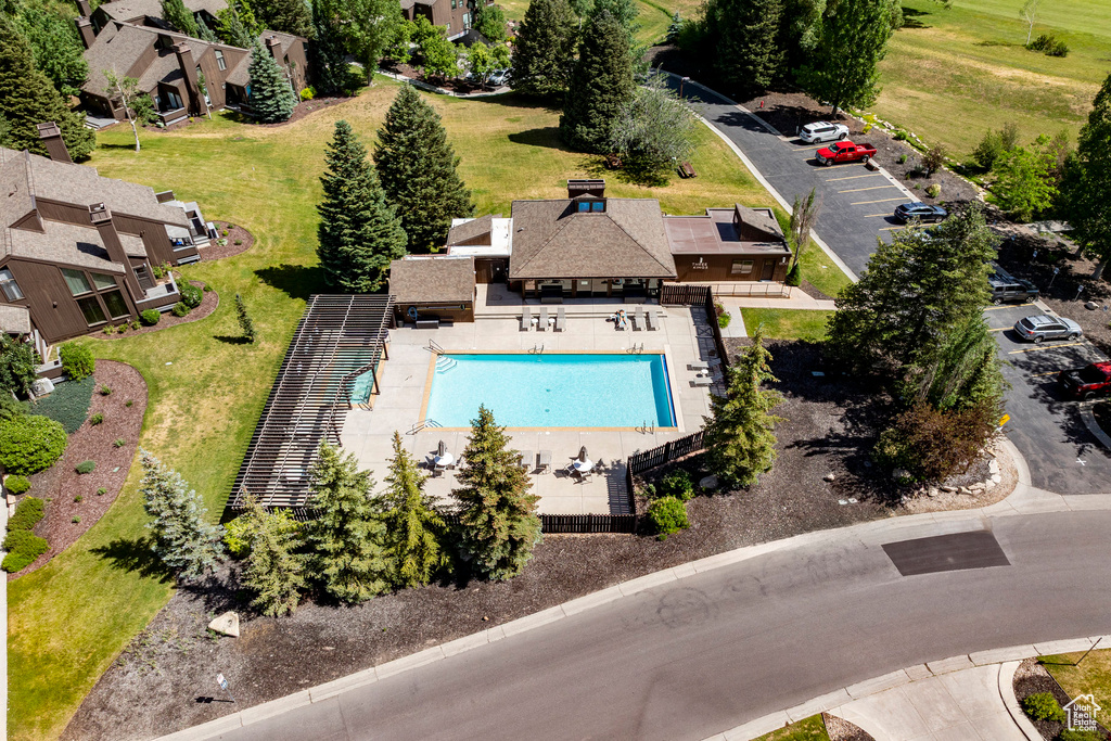 Bird's eye view of a pool