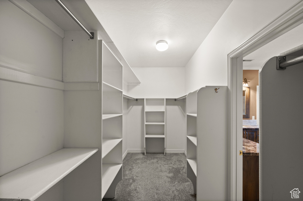 Spacious closet featuring carpet flooring