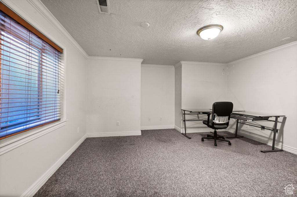 Office with carpet flooring, a textured ceiling, and crown molding