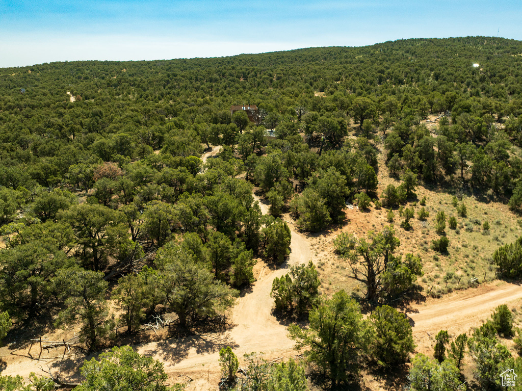 Aerial view of a heavily wooded area