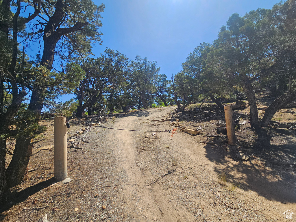View of road
