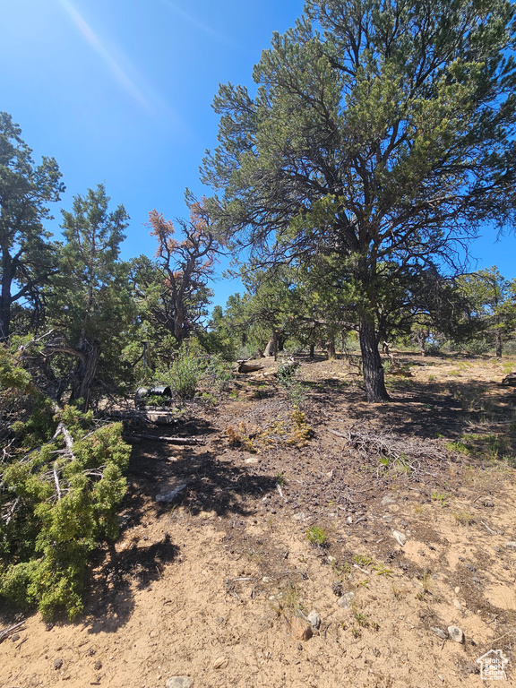 View of undeveloped land