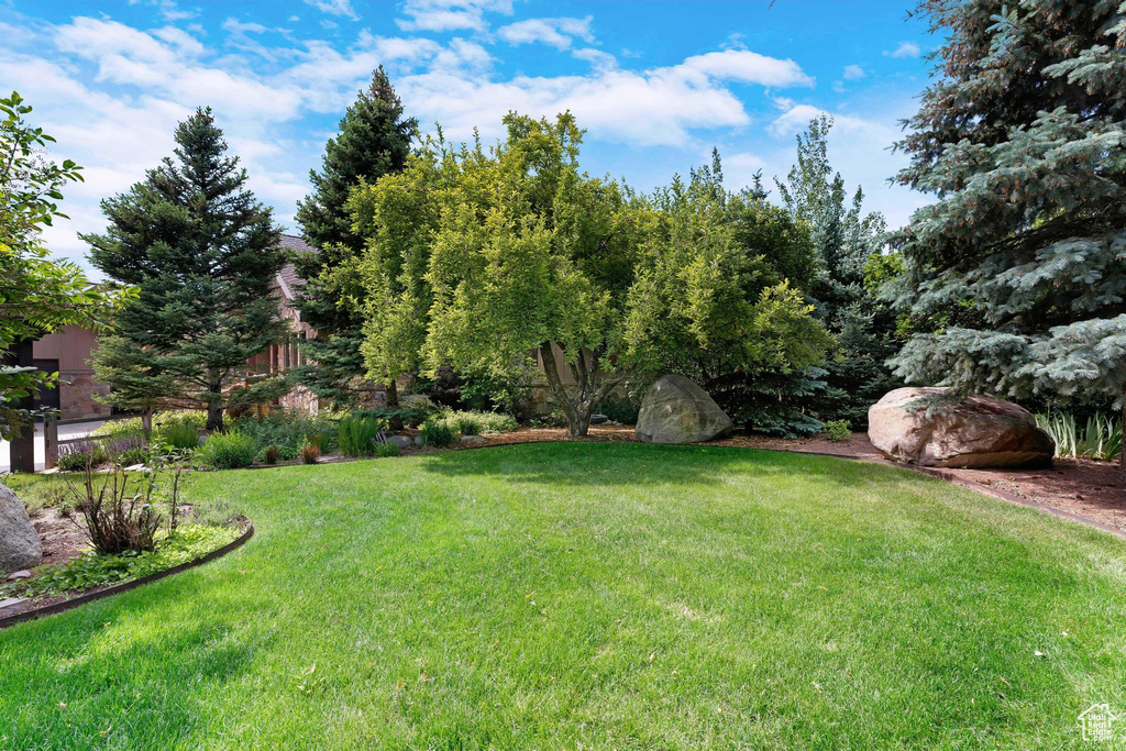 View of grassy yard