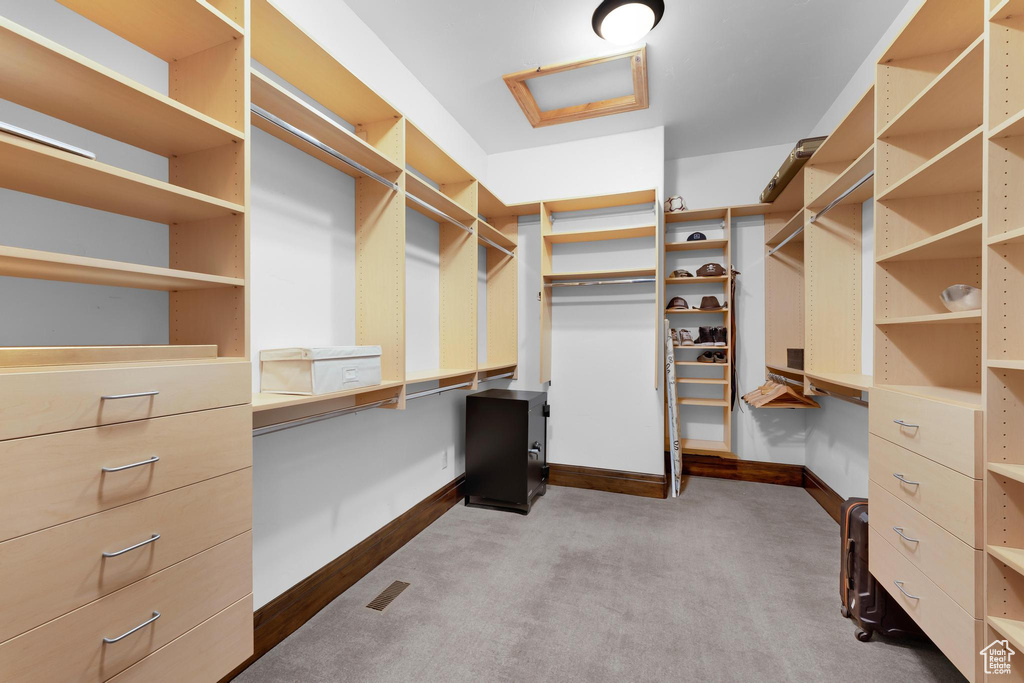 Spacious closet featuring carpet flooring