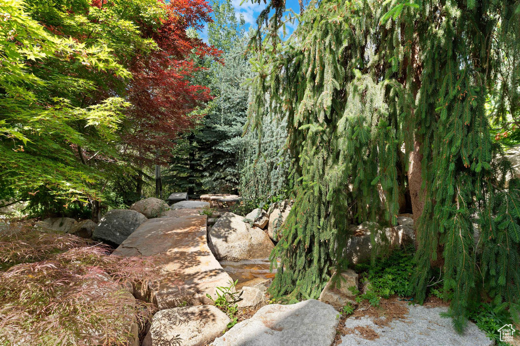 View of nature