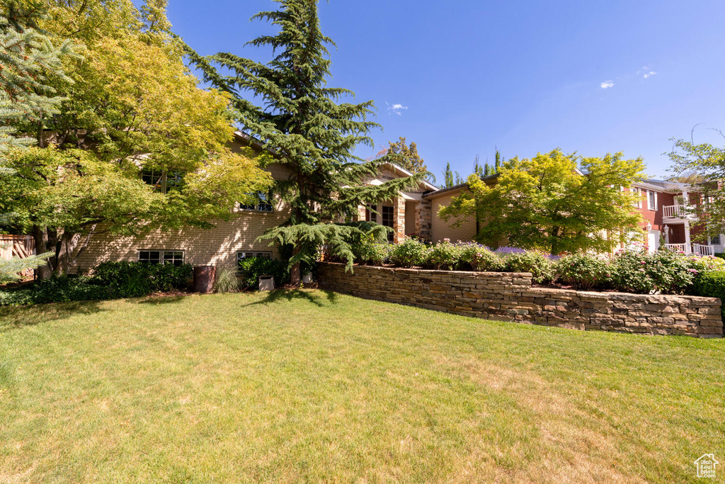 View of grassy yard