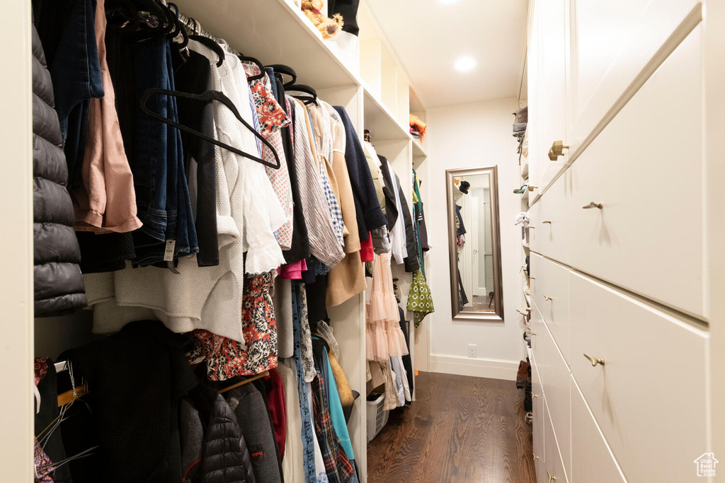 Spacious closet with dark wood-style flooring