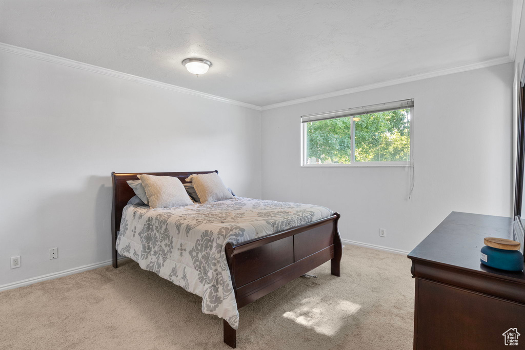 Carpeted bedroom with crown molding