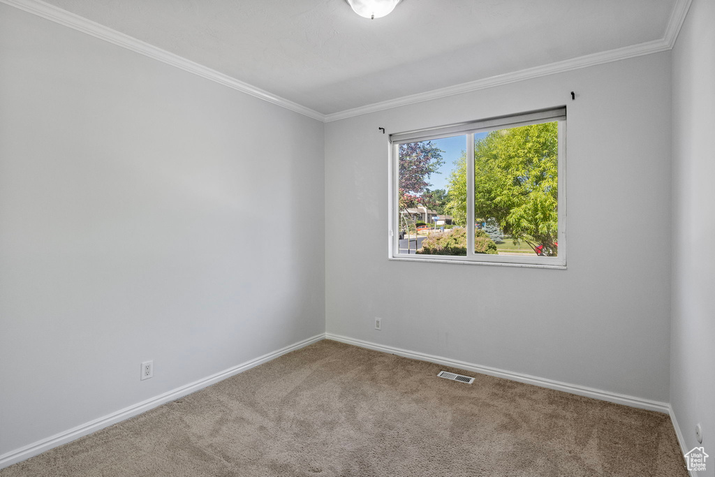 Unfurnished room with carpet floors and crown molding