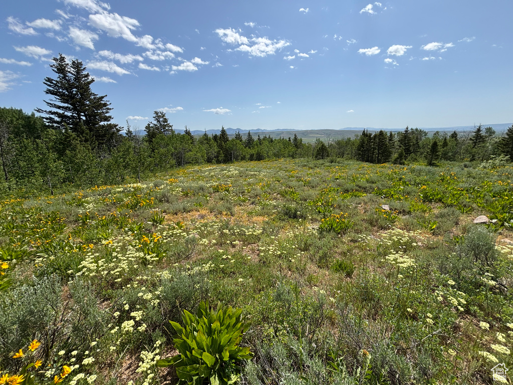 View of tree filled area featuring a mountain view