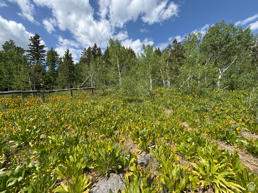 View of undeveloped land