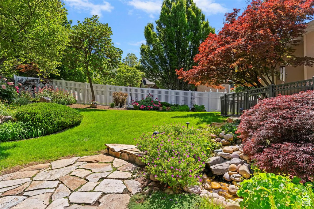 View of fenced backyard