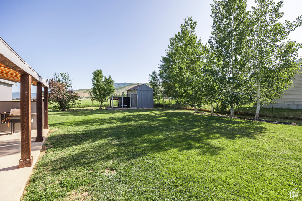 View of green lawn with a storage unit