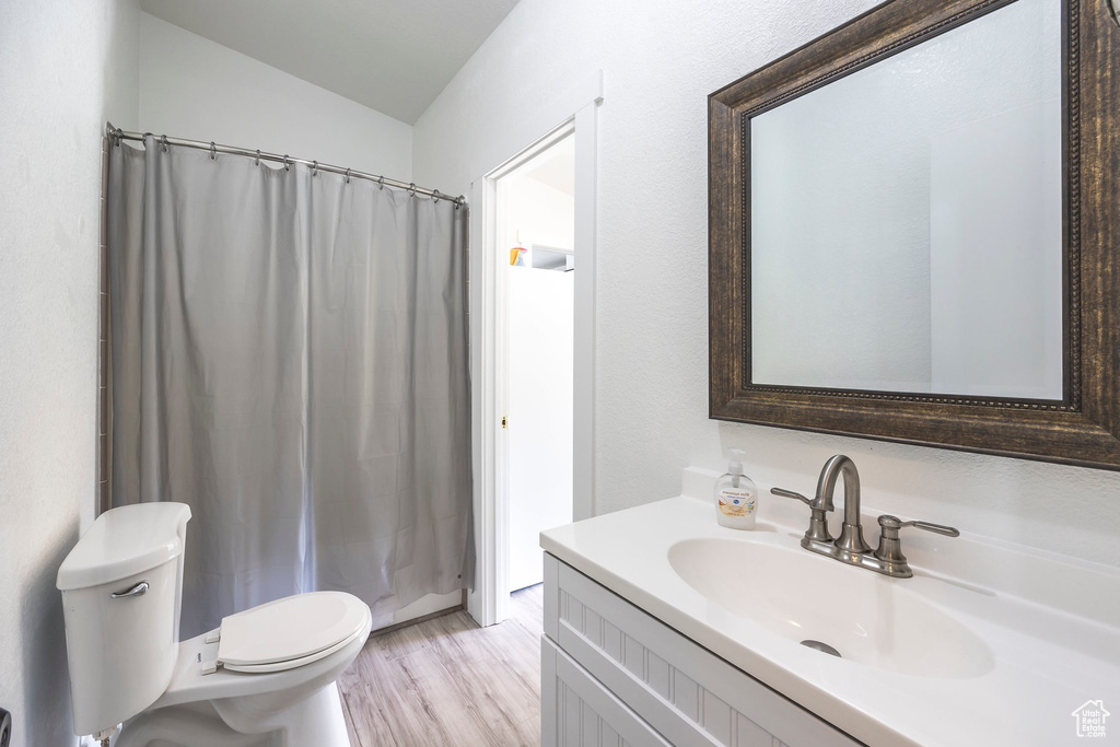 Bathroom featuring vanity, wood finished floors, and a shower with shower curtain