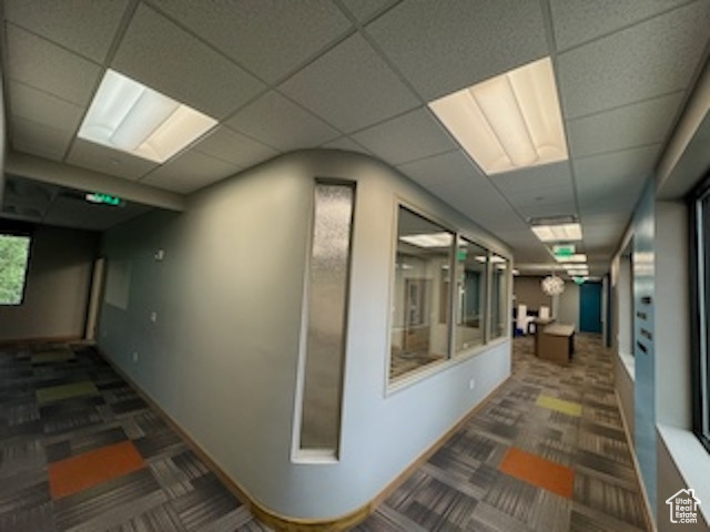 Hallway featuring a drop ceiling and carpet floors