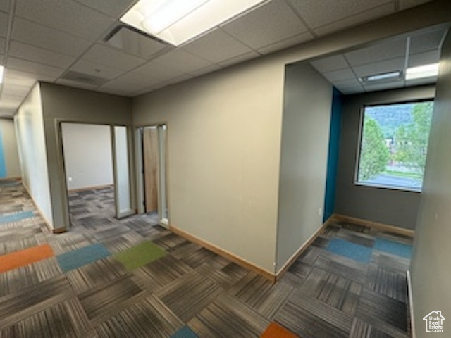 Carpeted empty room featuring a drop ceiling and baseboards