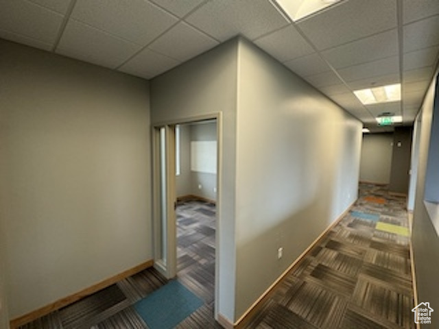 Hallway with a paneled ceiling and carpet floors