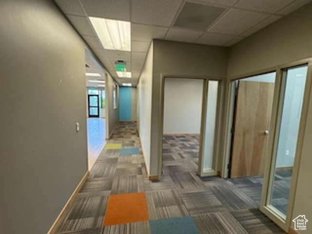 Hallway with carpet floors and a paneled ceiling
