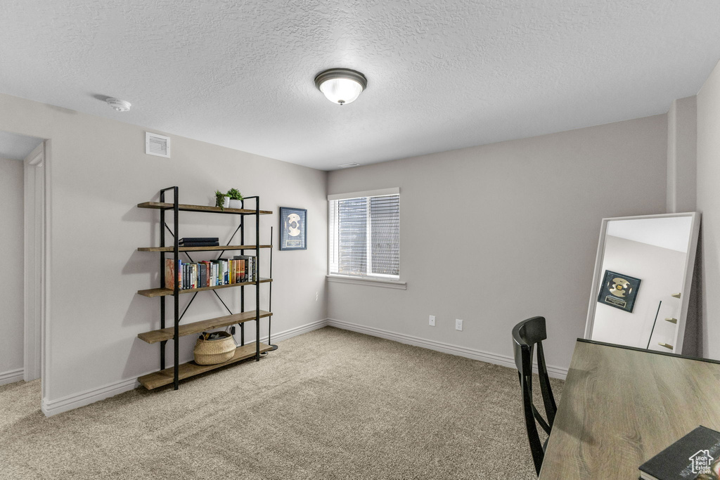 Carpeted home office with a textured ceiling and baseboards