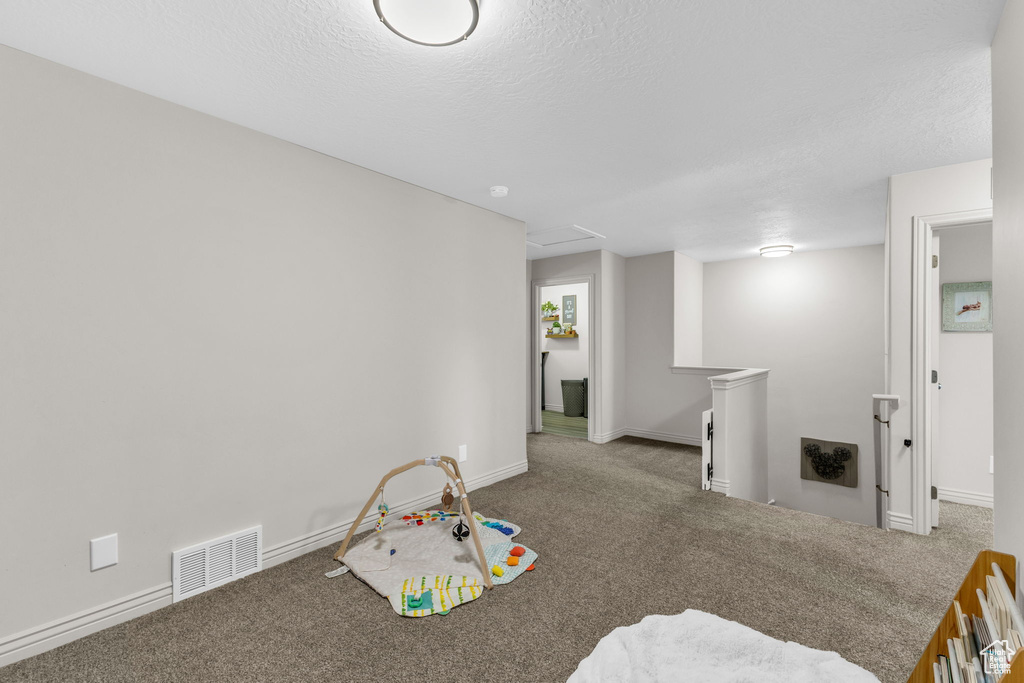 Rec room with carpet flooring, a textured ceiling, and attic access