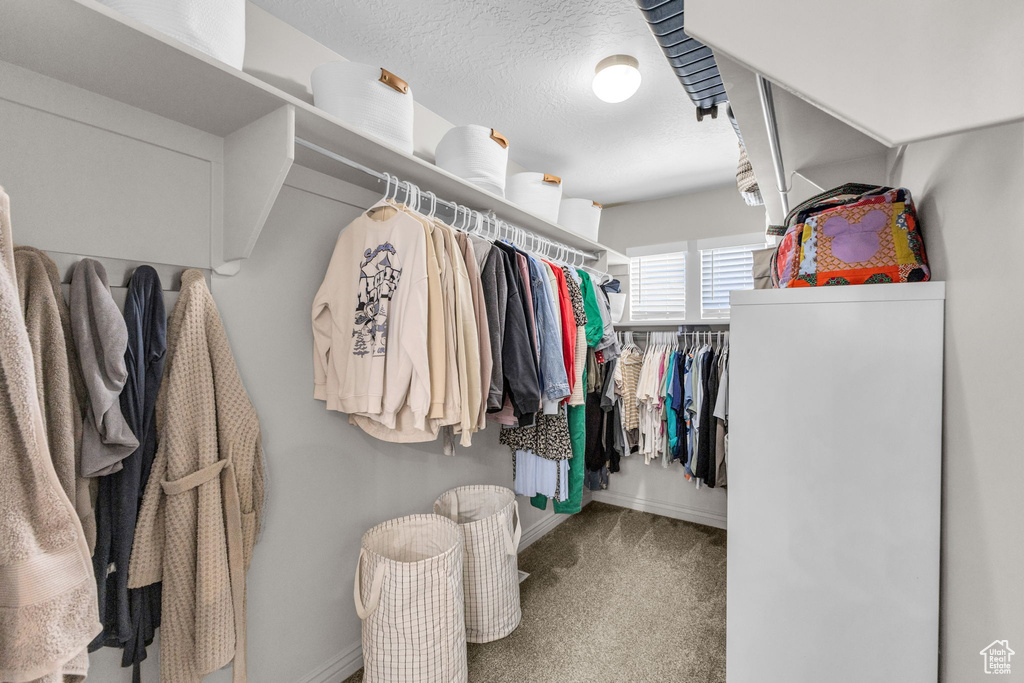 Spacious closet featuring carpet
