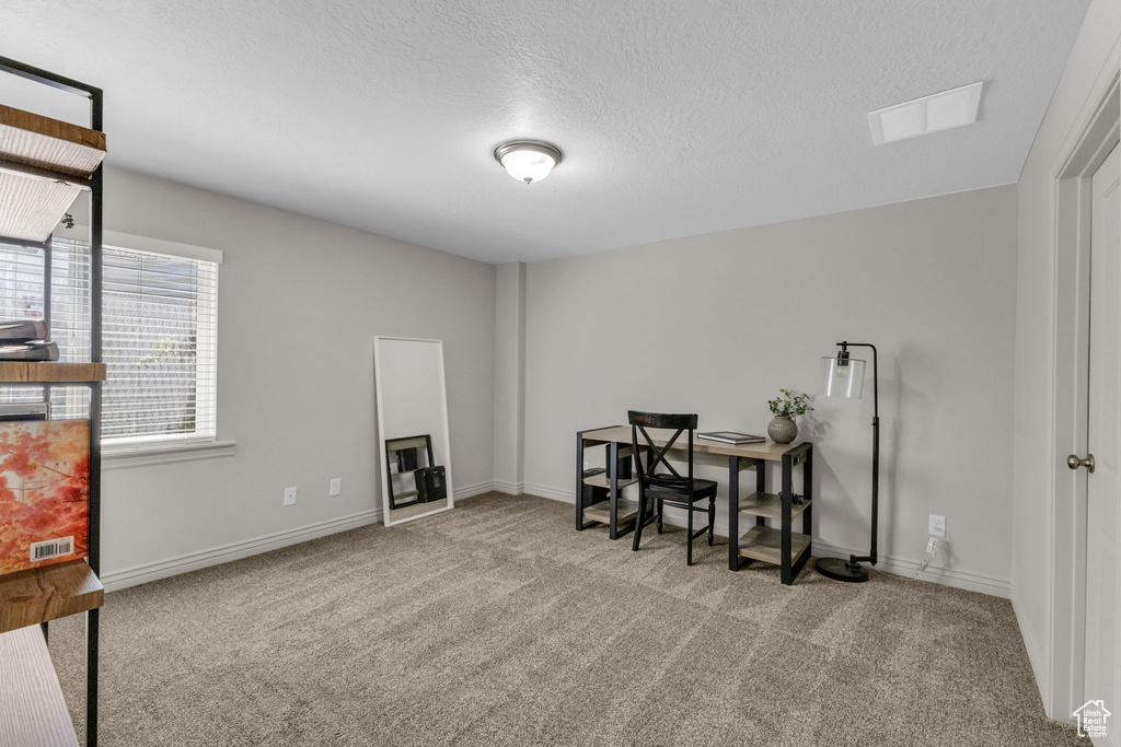 Office with carpet and a textured ceiling