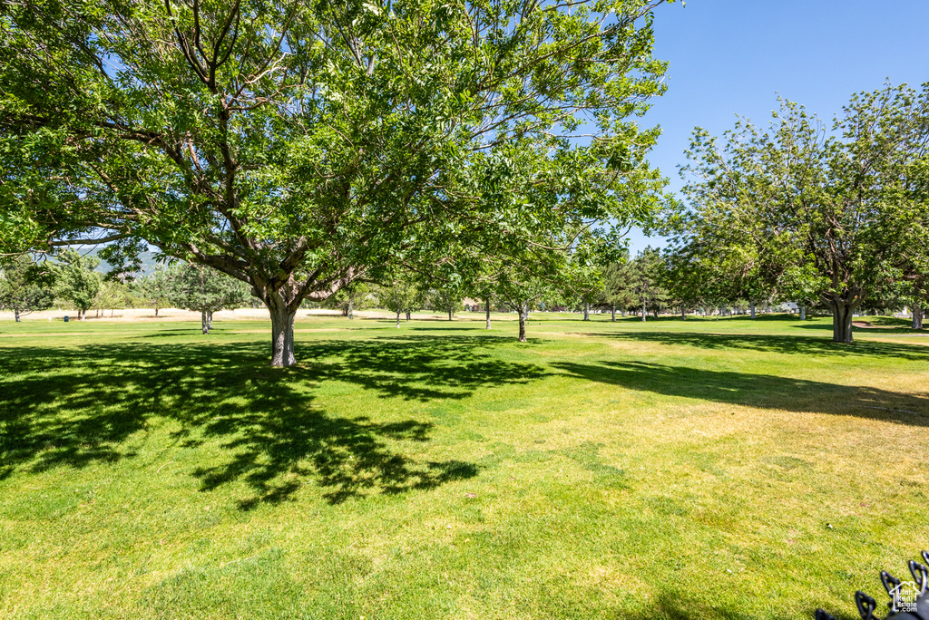 View of green lawn