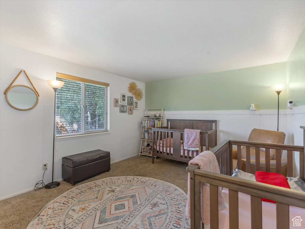 Bedroom with carpet floors