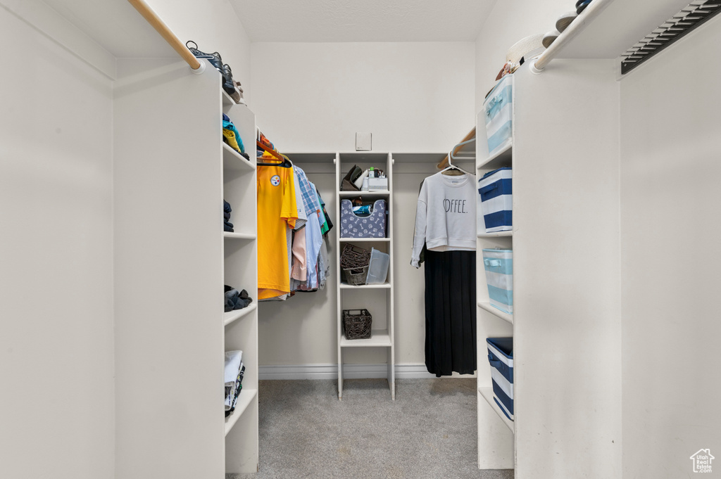 Walk in closet with carpet floors