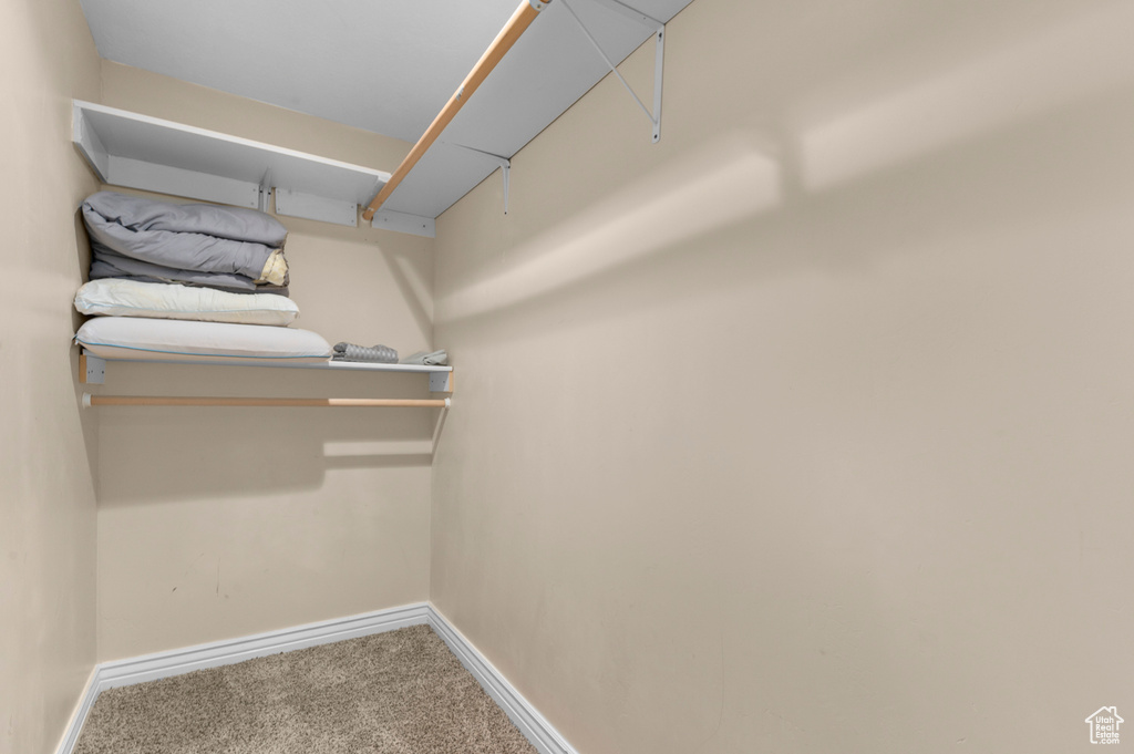 Spacious closet with carpet floors