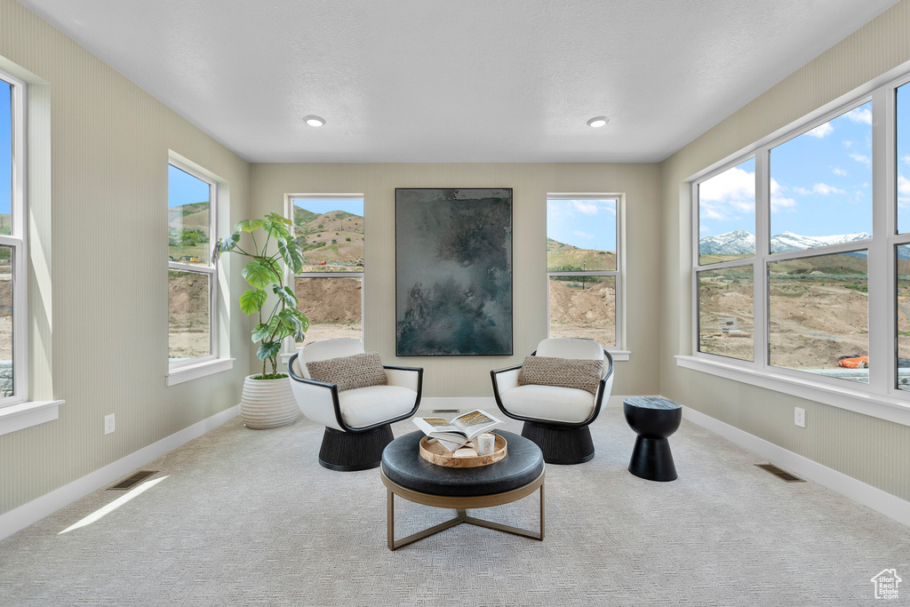 Sitting room with carpet floors and recessed lighting