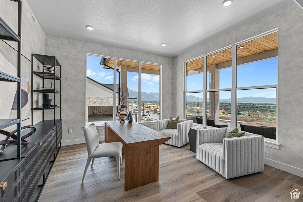 Office space featuring a mountain view, wood finished floors, and recessed lighting