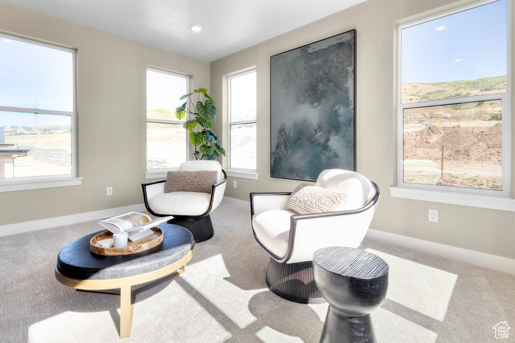 Living area featuring carpet