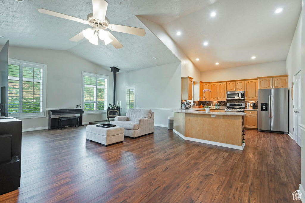 Kitchen with a wood stove, stainless steel appliances, open floor plan, lofted ceiling, and dark wood finished floors
