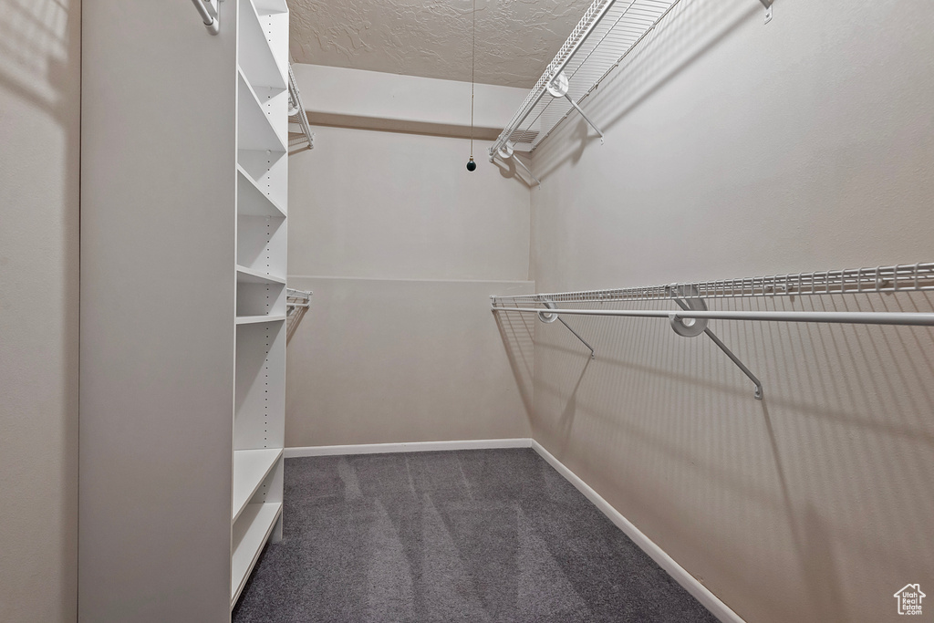 Walk in closet with carpet