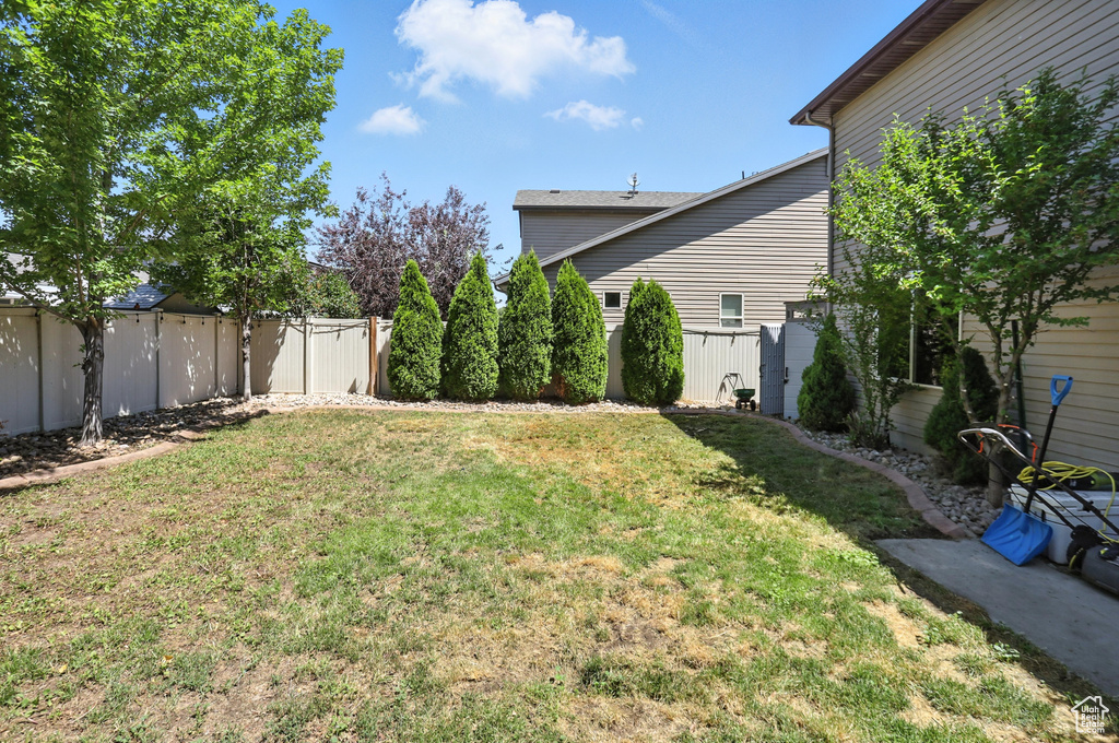 View of fenced backyard