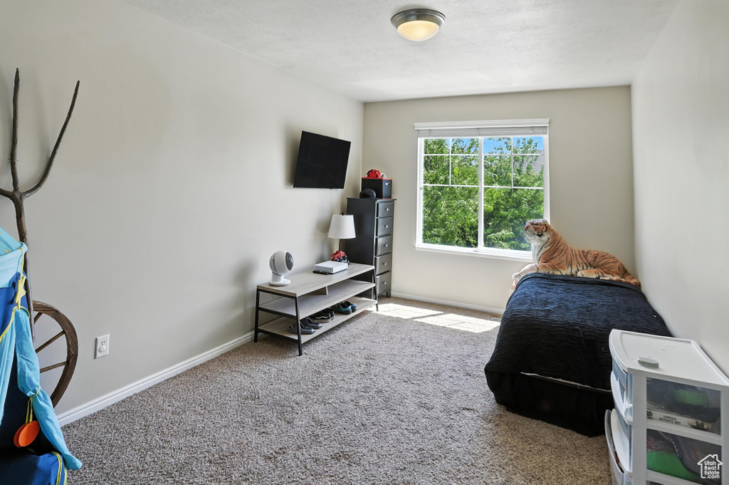 Carpeted bedroom featuring baseboards