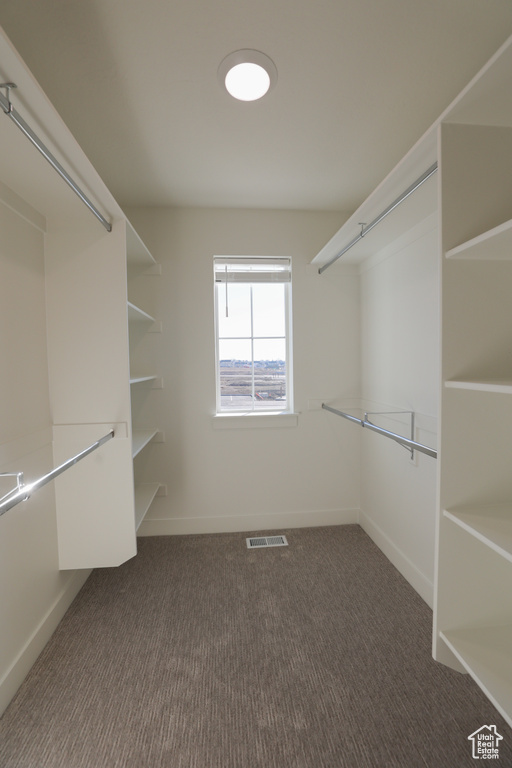 Spacious closet with carpet