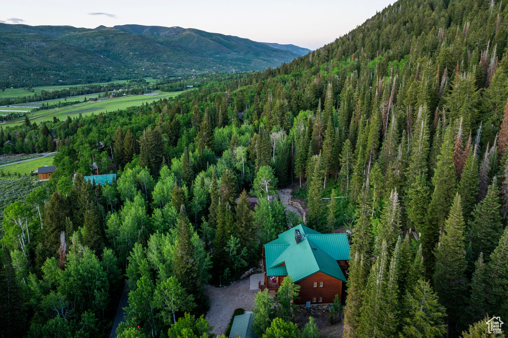 Aerial view of mountains and a forest