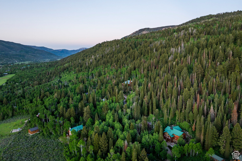Drone / aerial view of a mountain backdrop