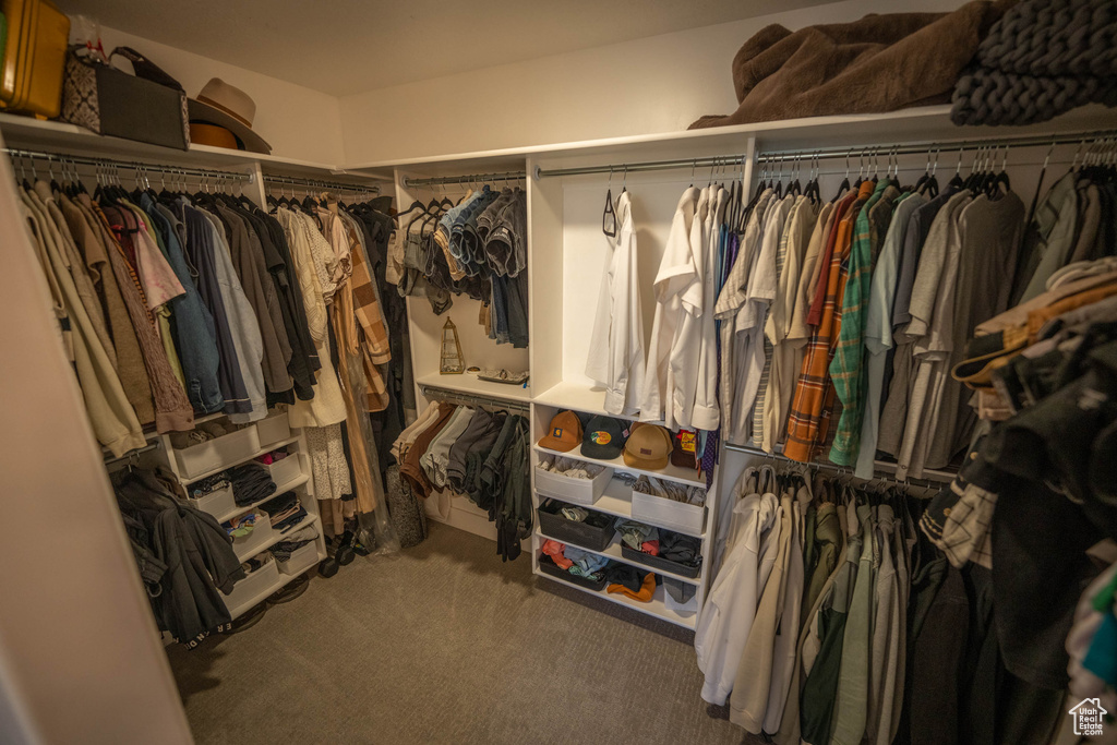 Walk in closet with carpet floors