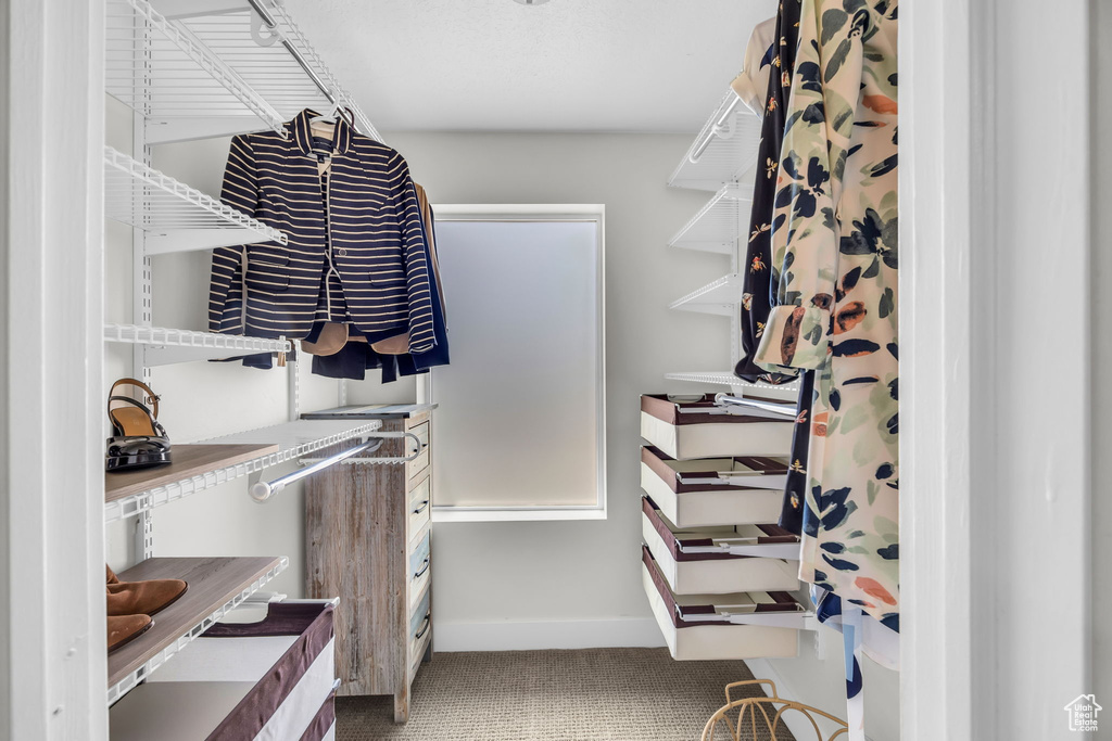 Spacious closet with carpet flooring