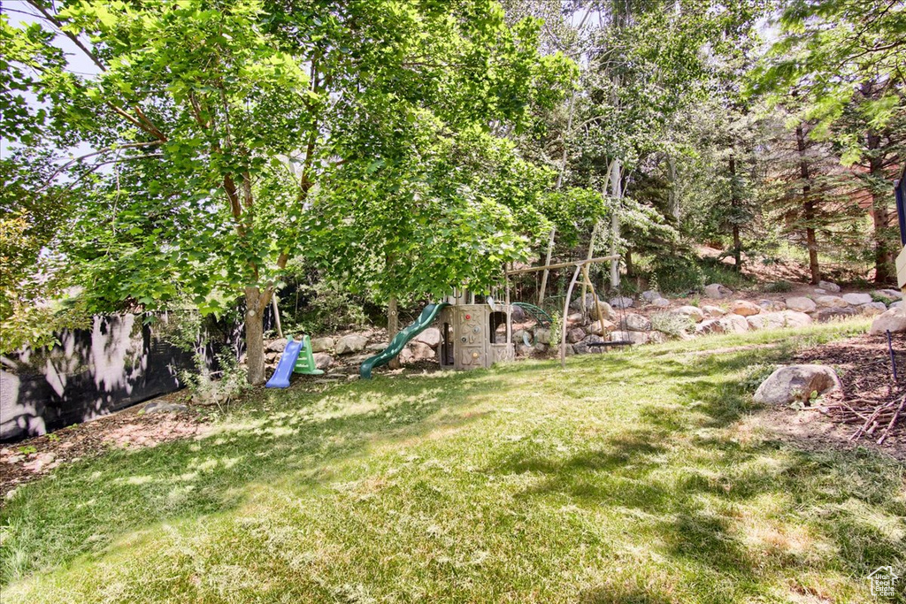 View of grassy yard