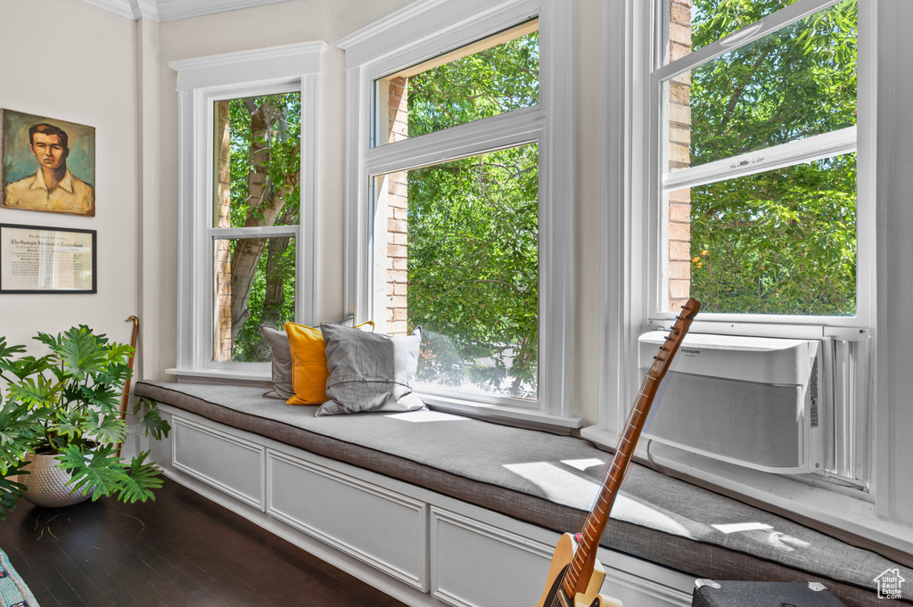 Detailed view of ornamental molding and cooling unit