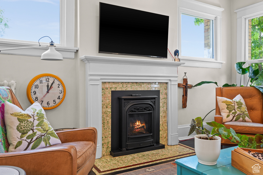 Living area featuring a premium fireplace