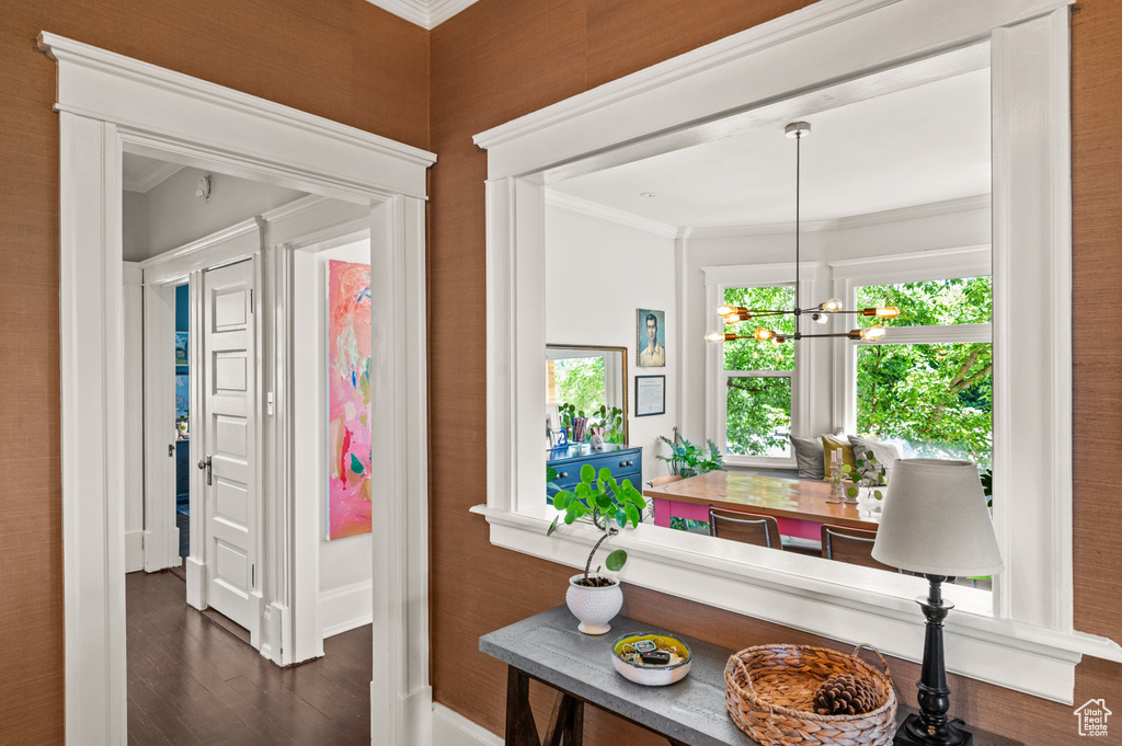 Hallway with crown molding, wood finished floors, and a chandelier