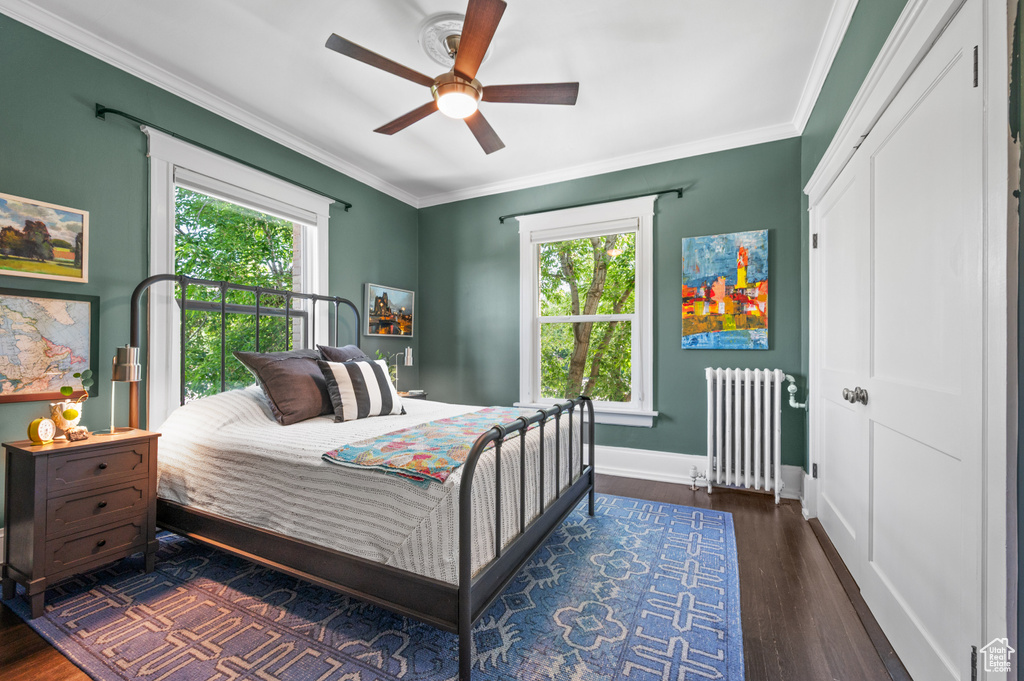 Bedroom with radiator heating unit, multiple windows, crown molding, wood finished floors, and ceiling fan