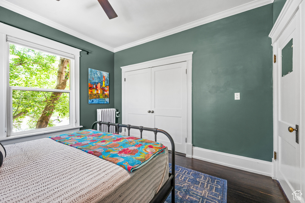 Bedroom with radiator, multiple windows, dark wood-type flooring, ornamental molding, and a ceiling fan